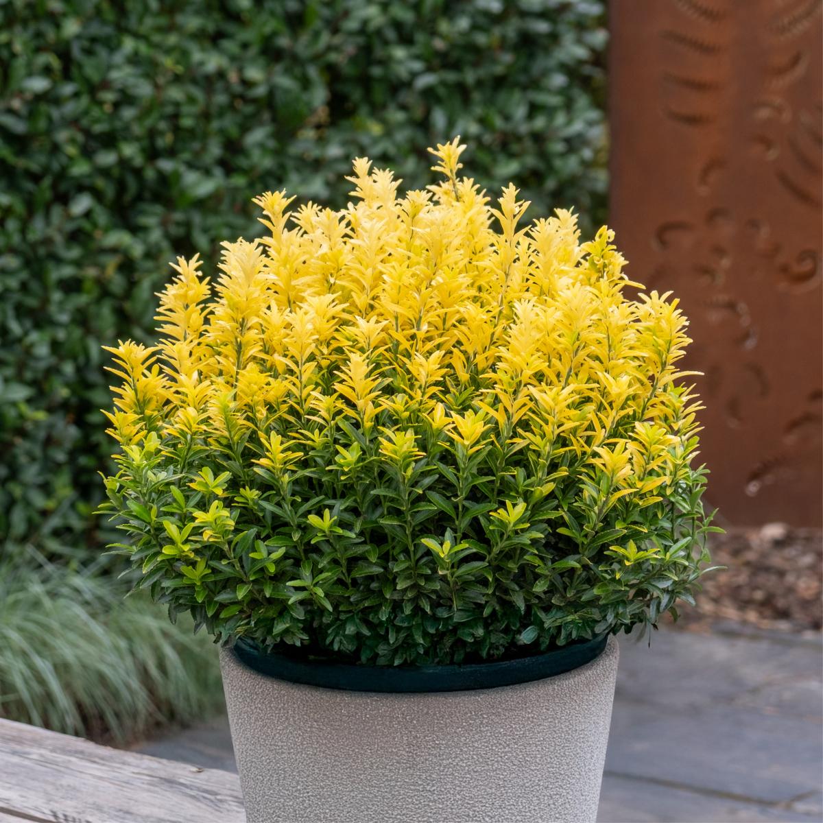 First slide