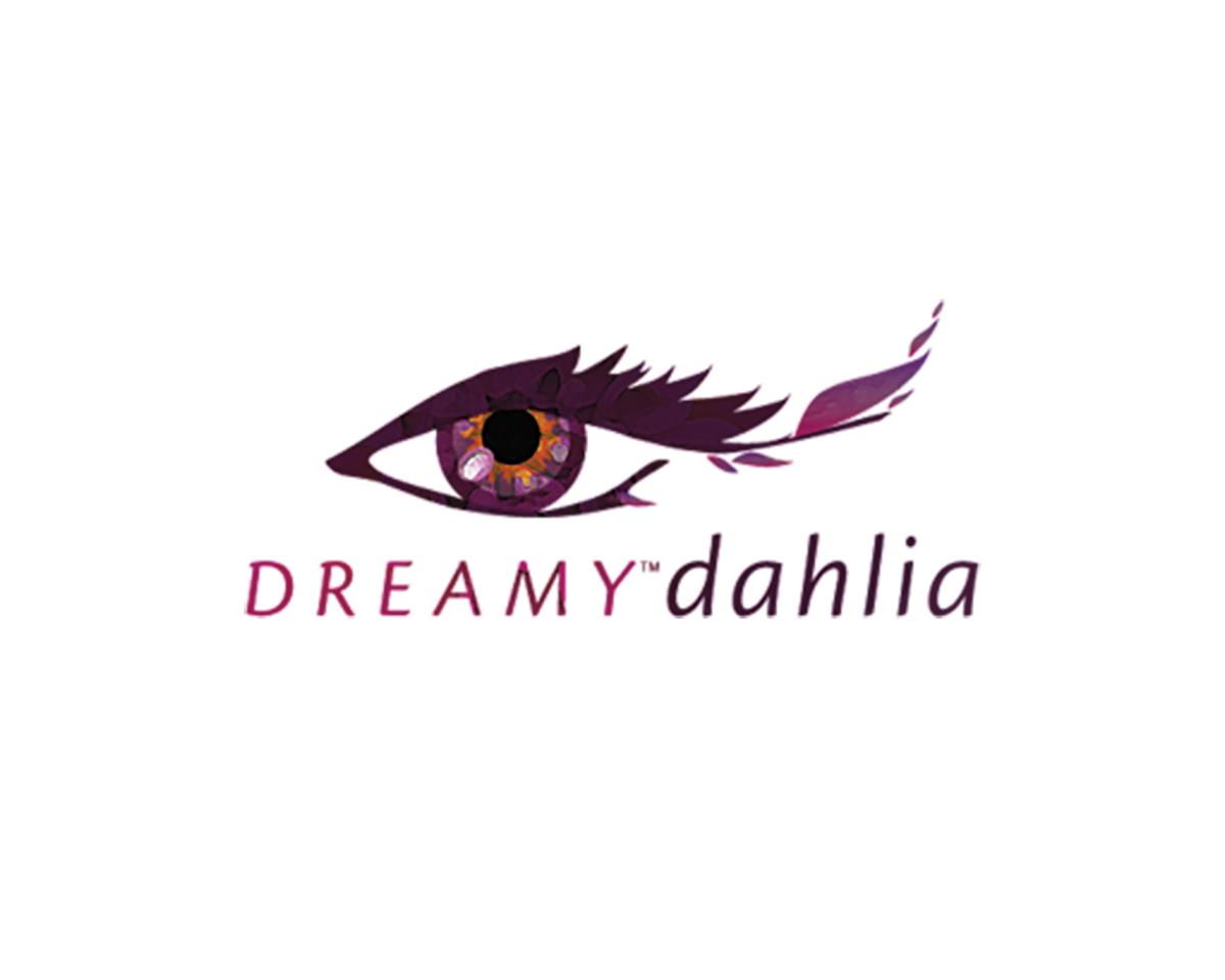 Dahlia - hybride - Eyes - COV